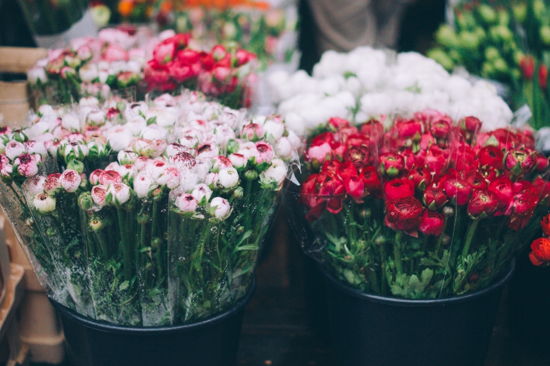 fleuriste-CANTARON-min_farmers-market-1209712